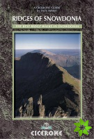Ridges of Snowdonia