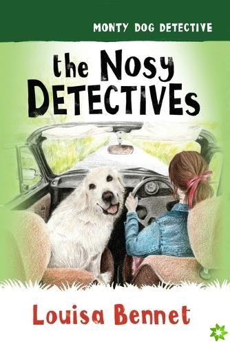 Nosy Detectives