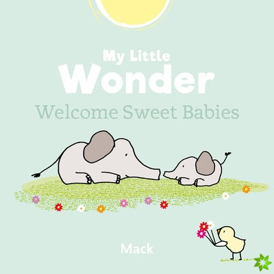 My Little Wonder. Welcome Sweet Baby