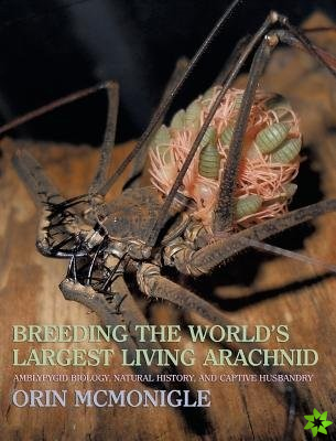 Breeding the World's Largest Living Arachnid
