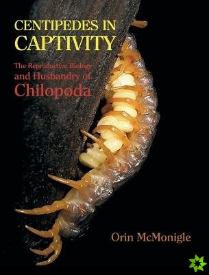 Centipedes in Captivity