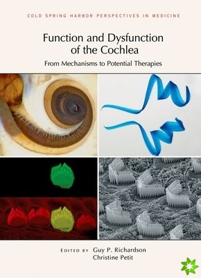 Function and Dysfunction of the Cochlea