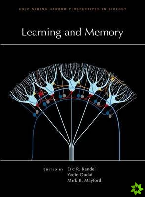 Learning and Memory