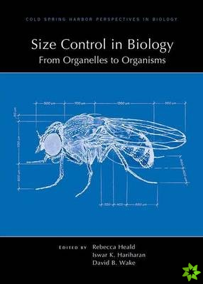 Size Control in Biology: From Organelles to Organisms