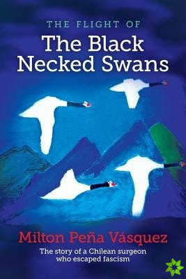 Flight of the Black Necked Swans