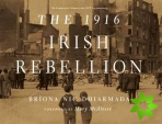 1916 Irish Rebellion