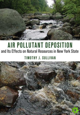 Air Pollutant Deposition and Its Effects on Natural Resources in New York State