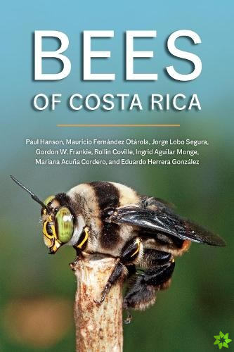 Bees of Costa Rica