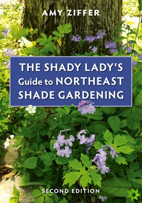 Shady Lady's Guide to Northeast Shade Gardening