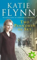 Two Penn'orth Of Sky