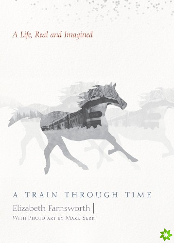 Train through Time