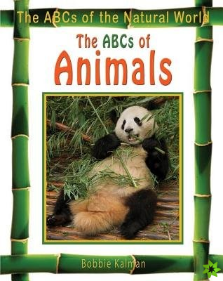 ABCs of Animals