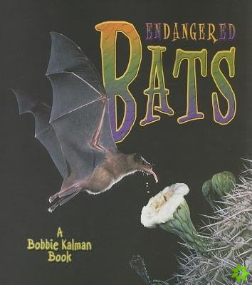 Endangered Bats