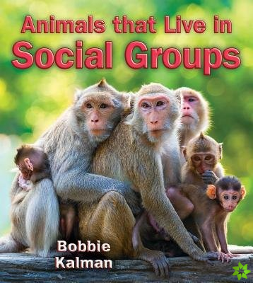 Animals that Live in Social Groups