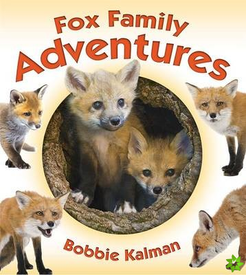 Fox Family Adventures