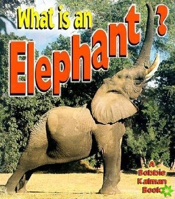 What is an Elephant