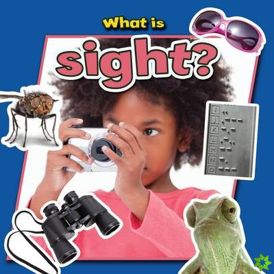 What is Sight?