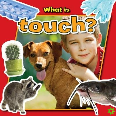 What is Touch?