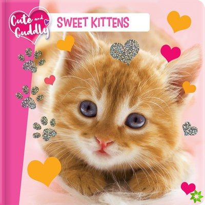 Cute and Cuddly: Sweet Kittens