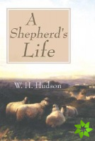 Shepherd's Life: Impressions of the South Wilshire Downs