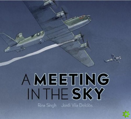 Meeting in the Sky