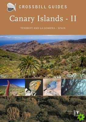 Canary Islands II
