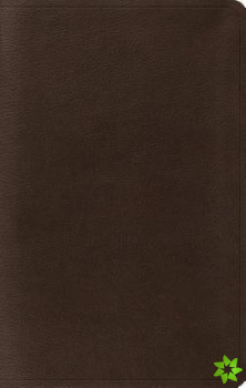 ESV Value Thinline Bible