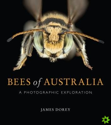Bees of Australia