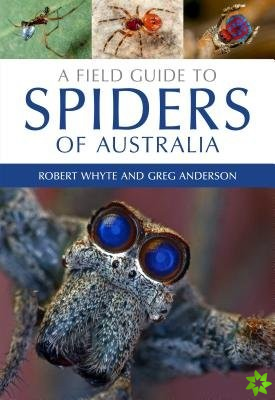 Field Guide to Spiders of Australia