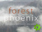 Forest Phoenix