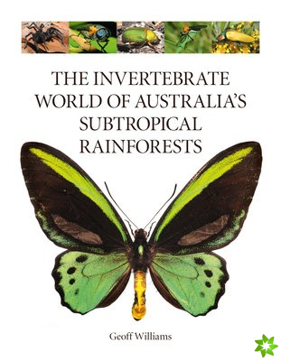 Invertebrate World of Australias  Subtropical Rainforests