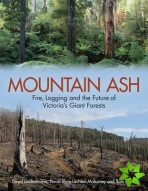 Mountain Ash