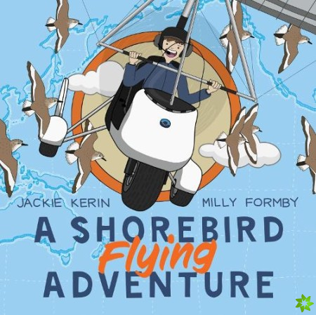Shorebird Flying Adventure