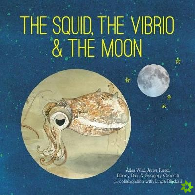 Squid, the Vibrio and the Moon