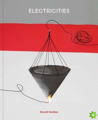 David Goldes: Electricities