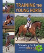 Training the Young Horse