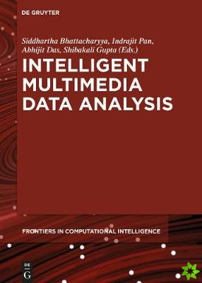 Intelligent Multimedia Data Analysis