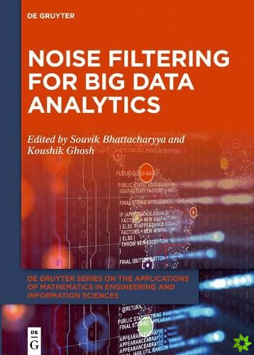 Noise Filtering for Big Data Analytics