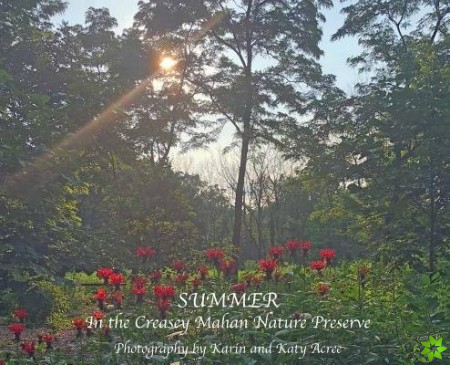 Summer in the Creasey Mahan Nature Preserve