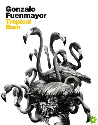 Gonzalo Fuenmayor: Tropical Burn
