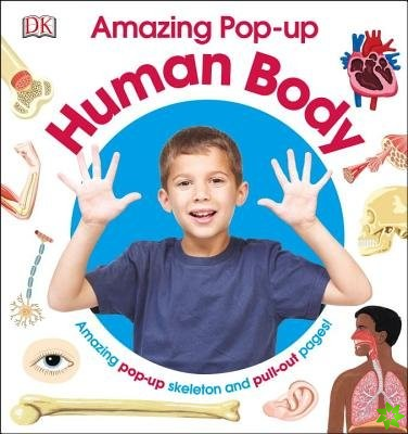 Amazing Pop-up Human Body