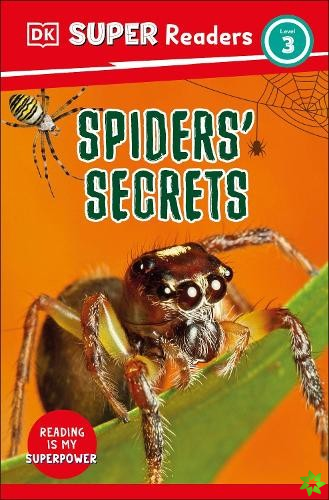 DK Super Readers Level 3 Spiders' Secrets