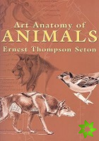 Art Anatomy of Animals