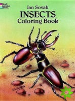 Insects Coloring Book