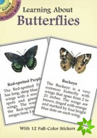 Learning About Butterflies