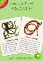 Learning About Snakes