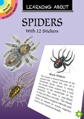 Learning About Spiders