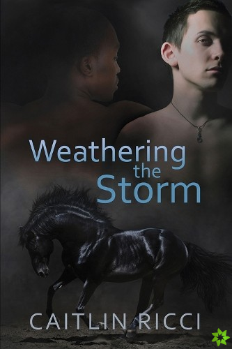Weathering the Storm Volume 1