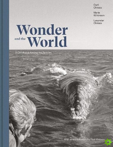 Wonder and the World