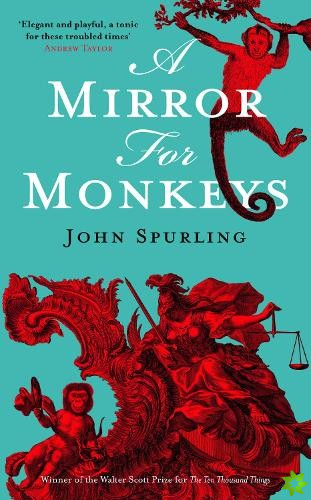 Mirror for Monkeys